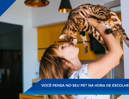 41% dos paulistas pensam nos pets na hora de escolher um imóvel